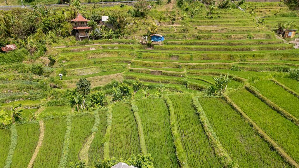 Jenis-Jenis Hak Atas Tanah di Bali dan Cara Mengurusnya